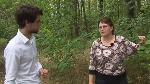 Výhody lesů v horku