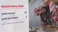 Kontroly chovů slepic