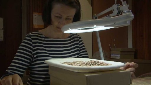 Arechologové našli pravěké sídliště v Lubné