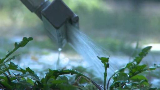 Boj s plevelem bez kapky chemie