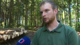 Škody v českých lesích