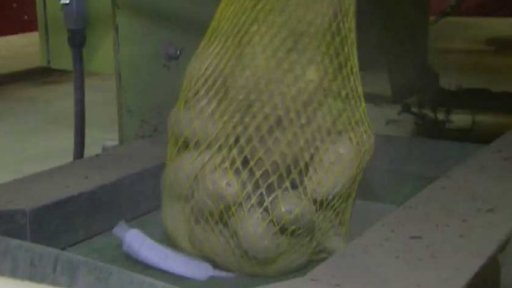 O čtvrtinu méně brambor než loni