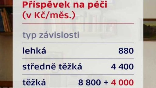 Podpora rodinné péče