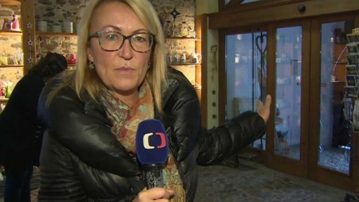 Divoké prase v centru Českých Budějovic