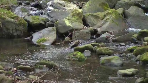 Kontroly spodních vod v okolí lyžařských areálů