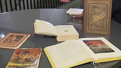 Literární obraz Ostravy