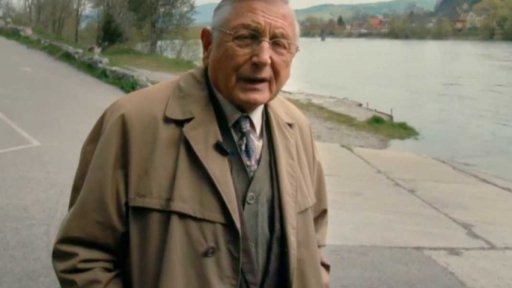 Film Tlumočník v kinech