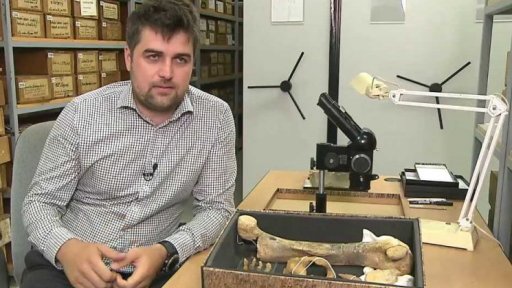 Nové expozice Národního muzea