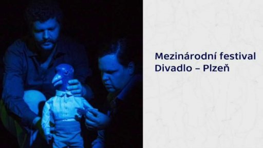 Mezinárodní festival Divadlo v Plzni