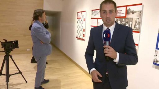 Sny o toulavých kočkách