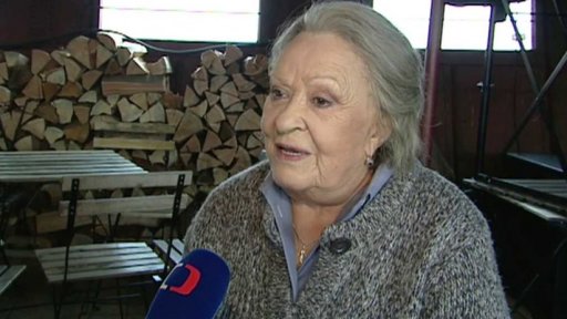 Nový film režiséra Stracha v hlavní roli s Bohdalovou a Hádkem