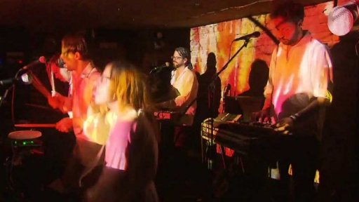 Nový projekt kapely Květy