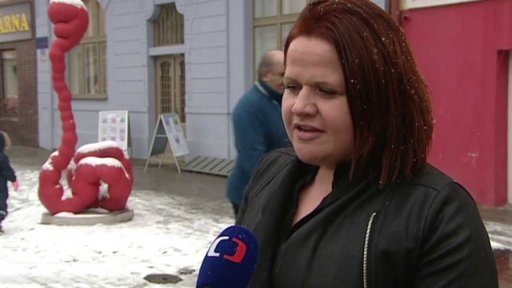 Spory o plastiku v Benešově