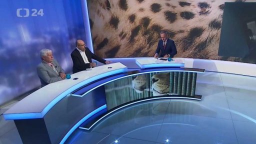 Případ zabitých tygrů