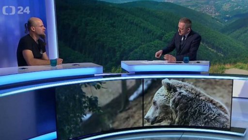 Návrat šelem do přírody