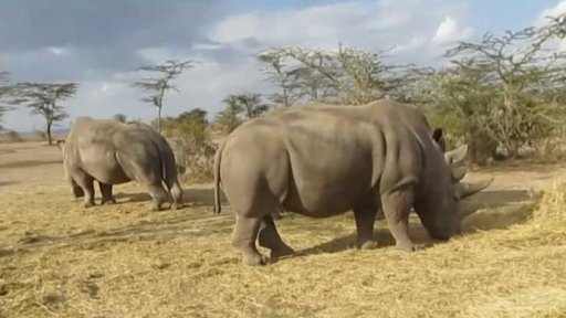 Události týdne den po dni