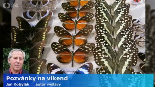 Pozvánky na víkend