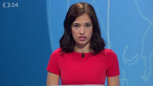 Zpravodajský servis