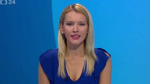 Zpravodajský servis