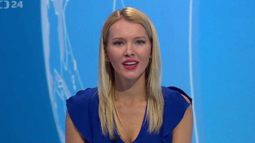 Zpravodajský servis