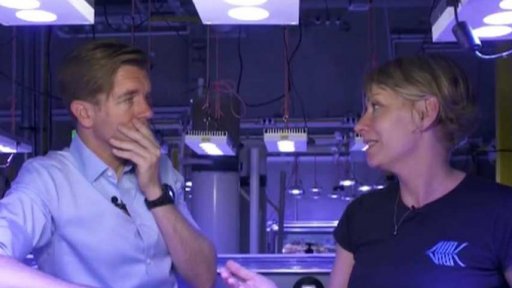 Záchrana Velkého bariérového útesu