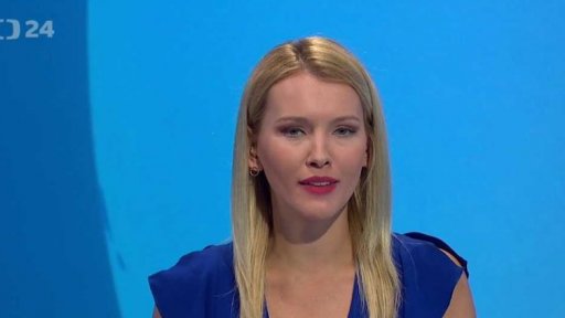 Zpravodajský servis