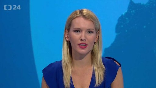 Zpravodajský servis