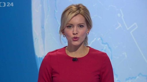 Zpravodajský servis