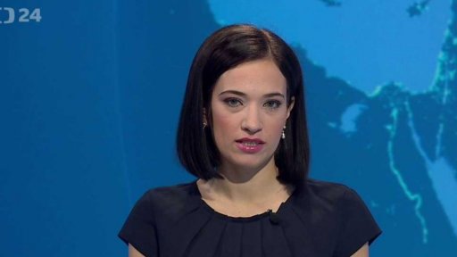 Zpravodajský servis