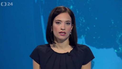 Zpravodajský servis