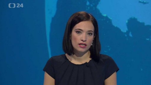 Zpravodajský servis