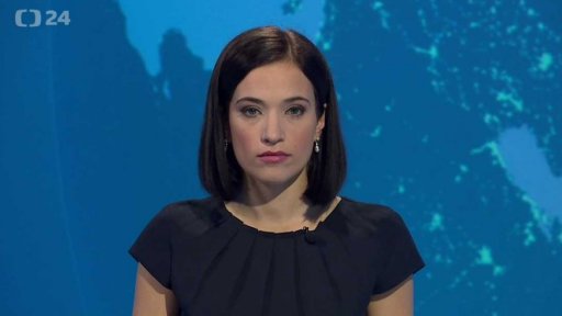 Zpravodajský servis