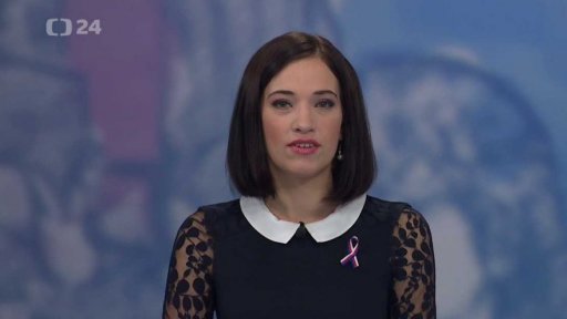 Zpravodajský servis