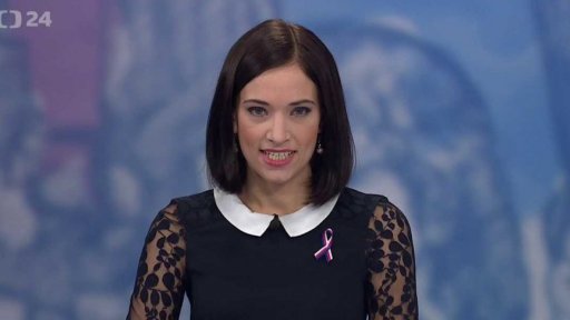 Zpravodajský servis