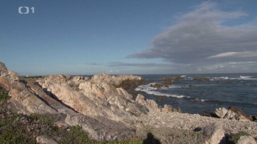 JAR: Mys dobré naděje