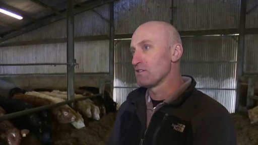 Irské obavy z brexitu