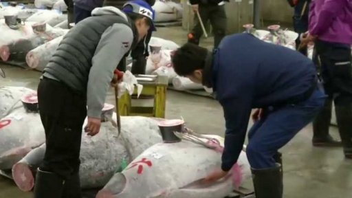 Rizika přehnaného rybolovu + rozhovor s J. Kubečkou