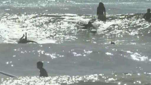 Surfování u severokorejské hranice