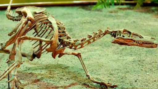 Nové objevy paleontologů v Gobi