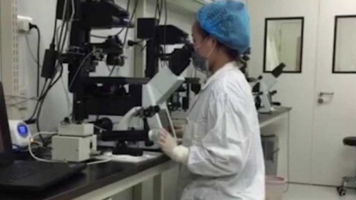 Psí hvězda: klonování zvířat jako byznys