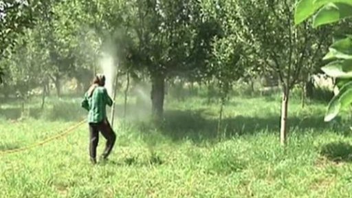 Německo: projekt na záchranu včel + rozhovor s M. Vondruškou