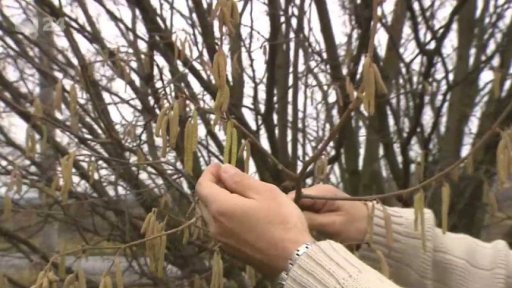 Nezvykle teplá zima? - reportáž a rozhovor