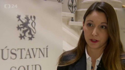 Ústavní soud o vydání Nikulina