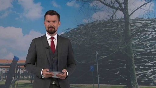 Trestní stíhání v kauze Čapí hnízdo - Miroslav Krutina