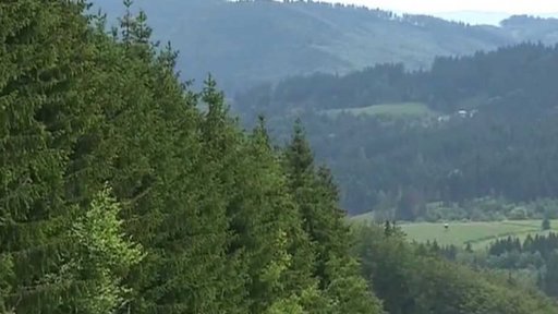 Jednání o kůrovcové kalamitě