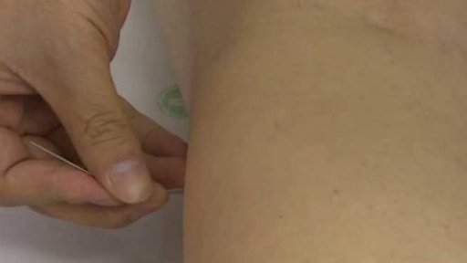 Využívání částí těl ohrožených živočichů - Jan Klapuš