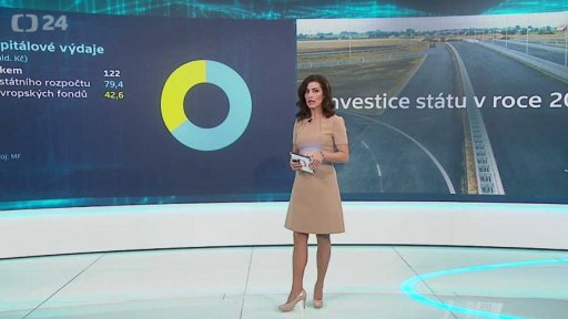 Investice státu v r. 2019