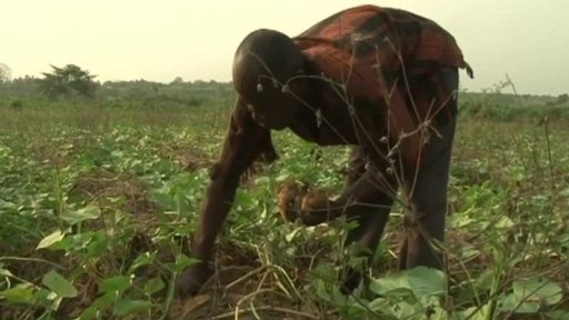 Rozvojová spolupráce jako nástroj migrační politiky?