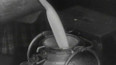 Pokles dodávek mléka (1948)