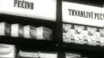 Nová prodejna se samoobsluhou teplického Pramenu (1955)